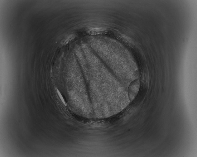 X0000084561346200703231750