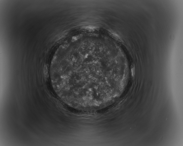 X0000084561347200703231749