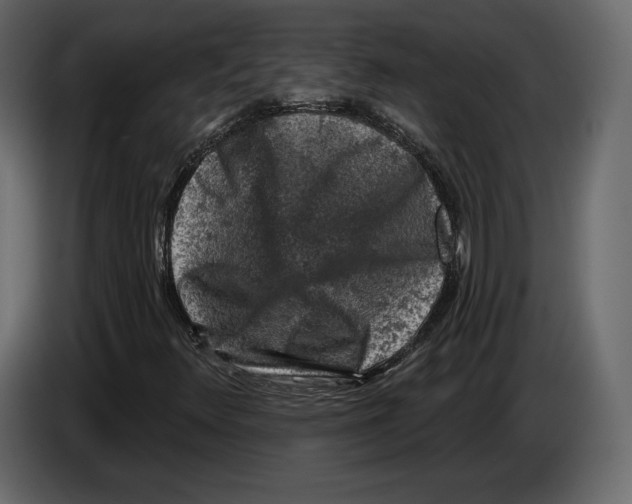 X0000084561348200703231749