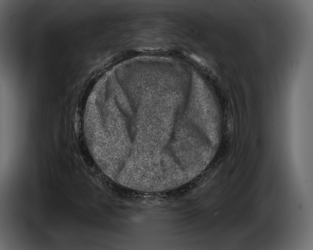 X0000084561350200703231749