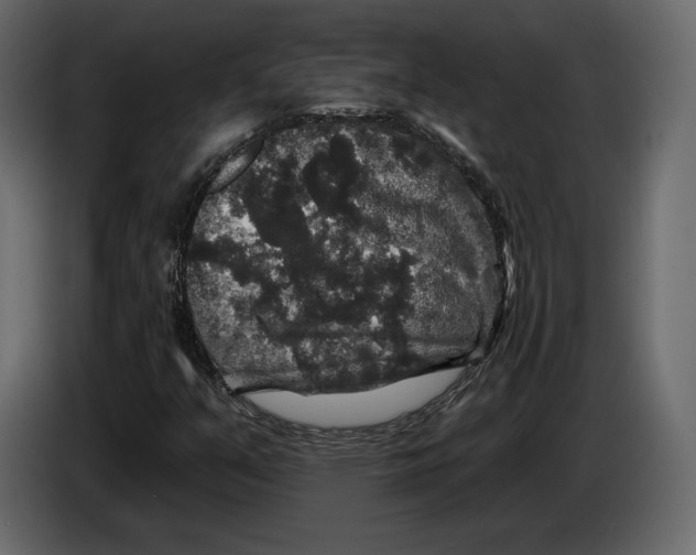 X0000084561351200703231749