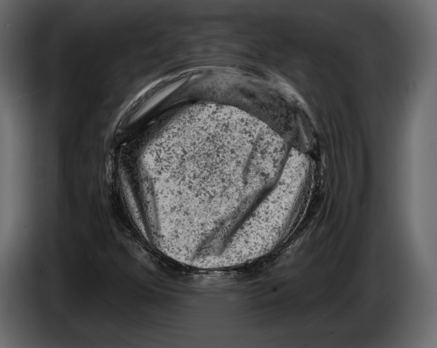 X0000084561352200703231749