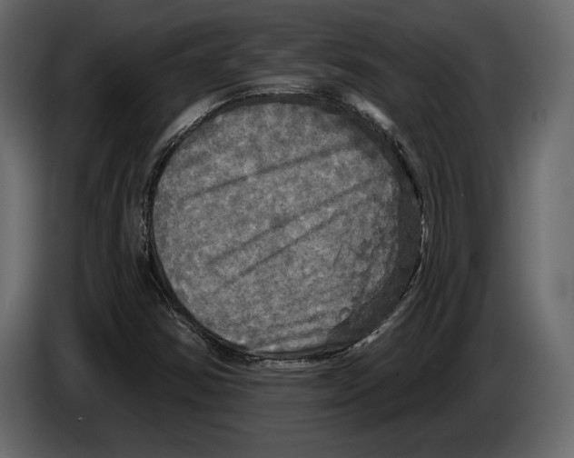 X0000084561354200703231749