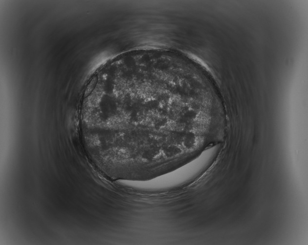 X0000084561355200703231749