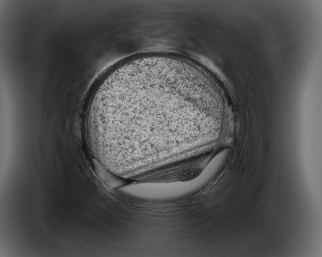 X0000084561356200703231749