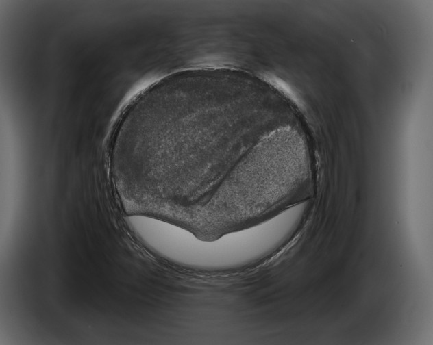 X0000084561358200703231749