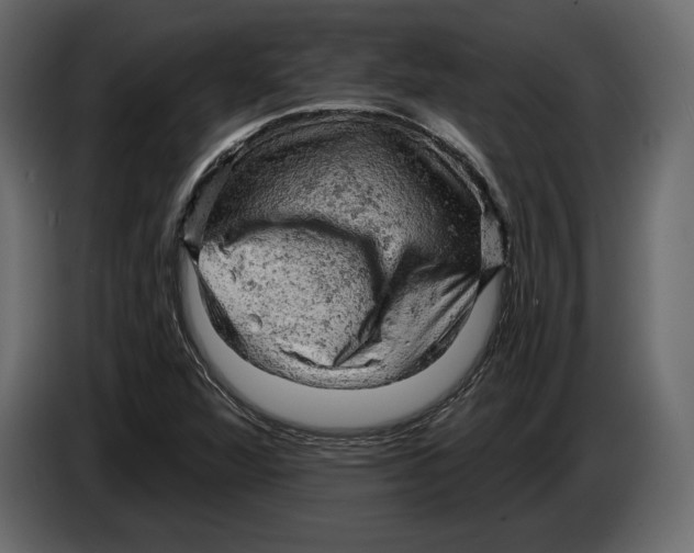 X0000084561360200703231749