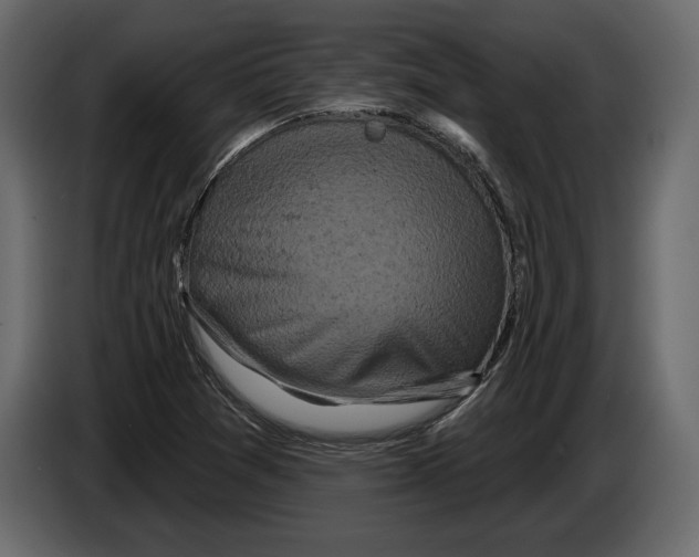 X0000084561361200703231749