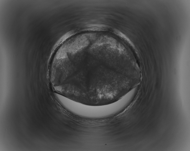 X0000084561362200703231749