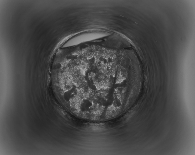 X0000084561363200703231749