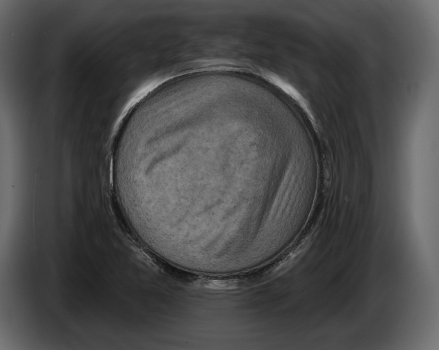 X0000084561365200703231749