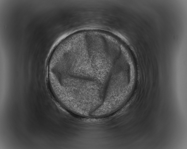 X0000084561366200703231749