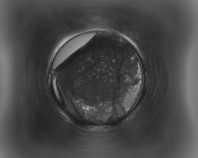 X0000084561367200703231749