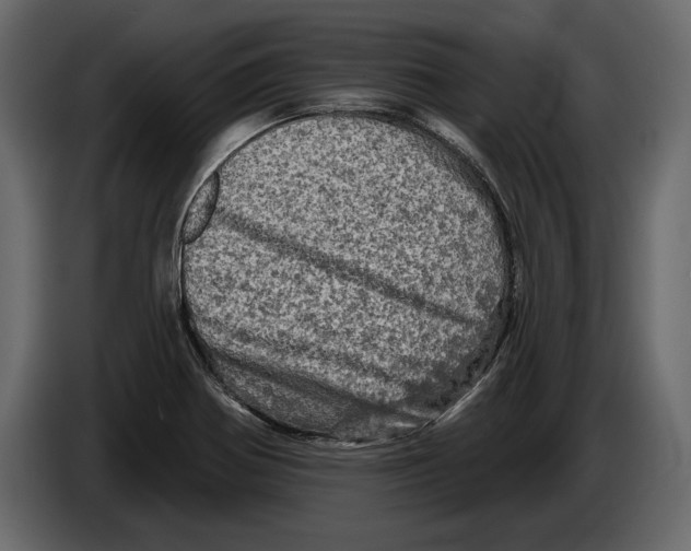 X0000084561370200703231749