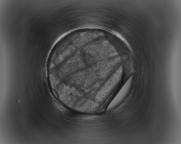 X0000084561372200703231749