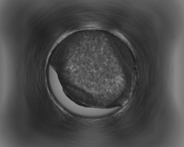 X0000084561373200703231749