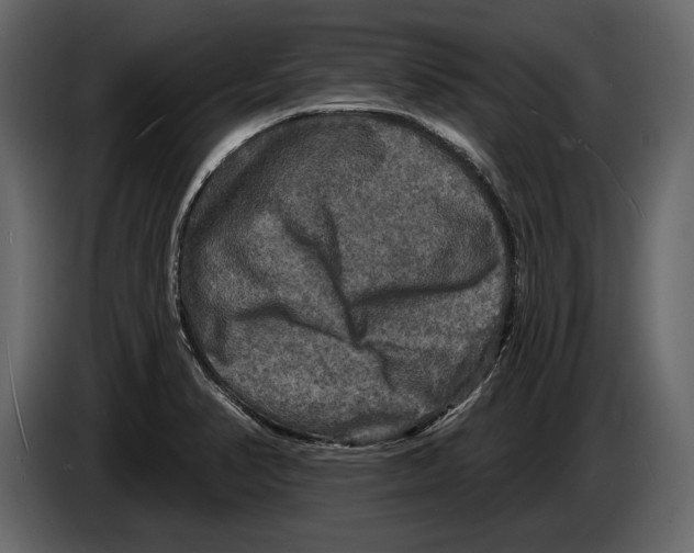 X0000084561374200703231749