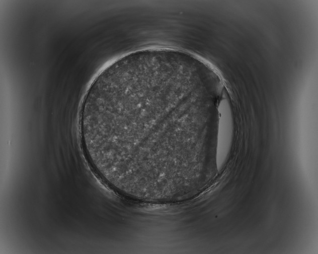 X0000084561375200703231749