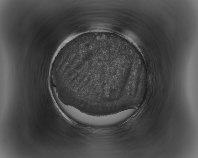 X0000084561379200703231749