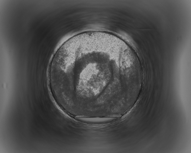 X0000084561382200703231749