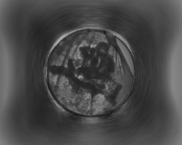 X0000084561383200703231749