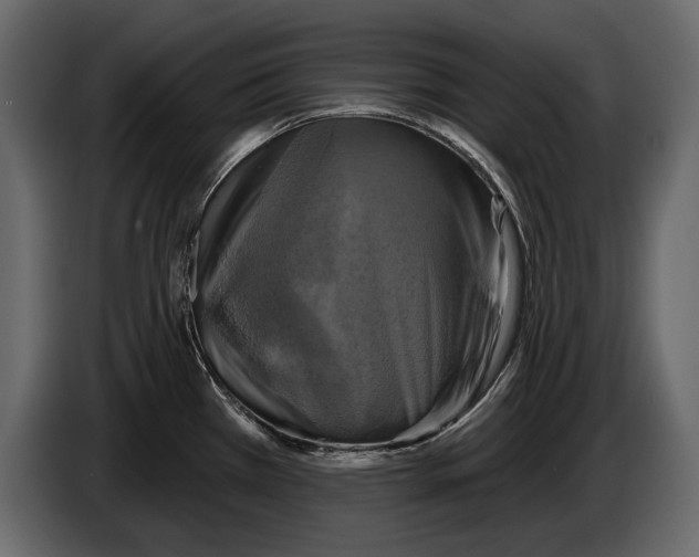 X0000084561385200703231749