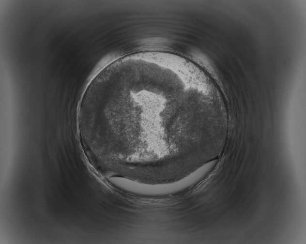 X0000084561386200703231749