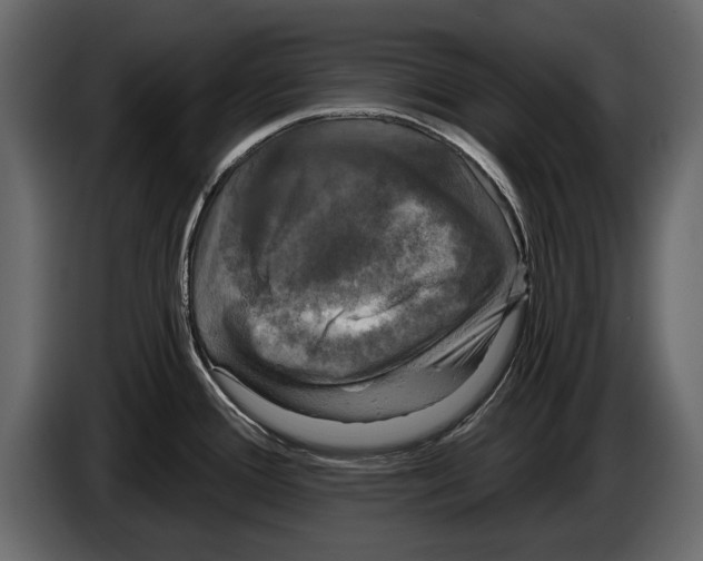 X0000084561388200703231749