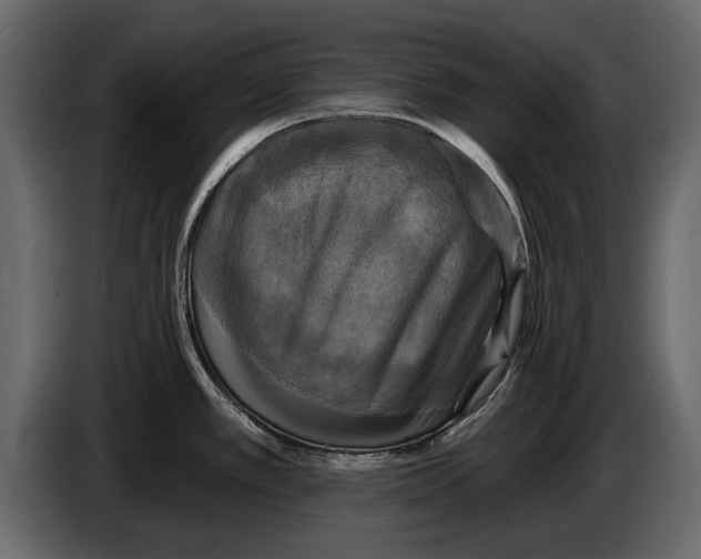 X0000084561389200703231749