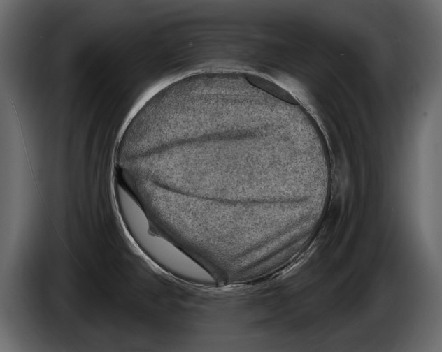 X0000084561390200703231749