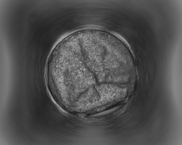 X0000084561391200703231749