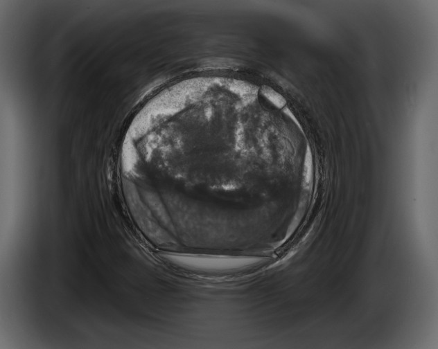 X0000084561401200703231748