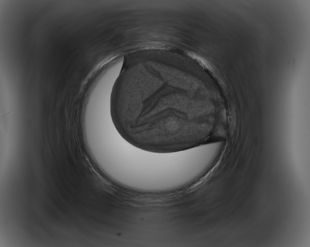 X0000084561402200703231748