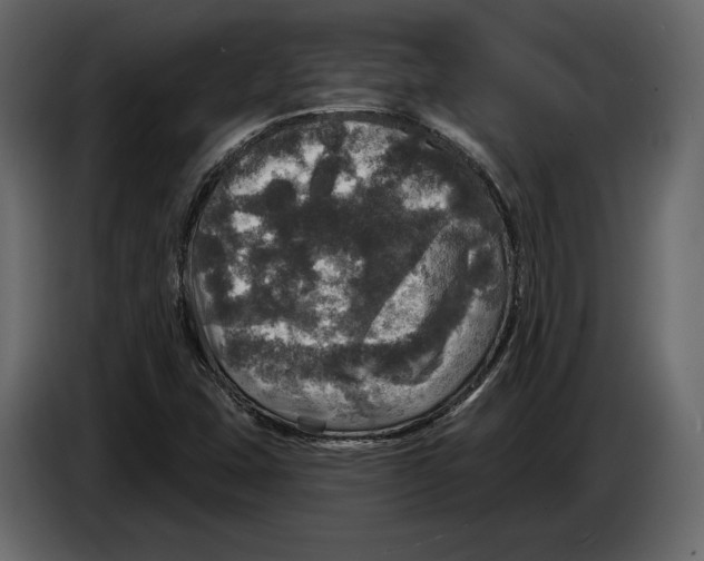 X0000084561407200703231748