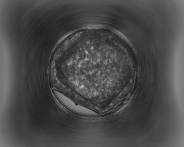 X0000084561417200703231749