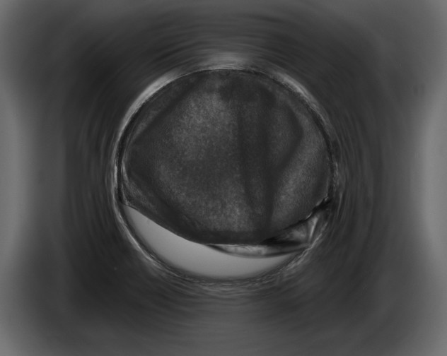 X0000084561418200703231749