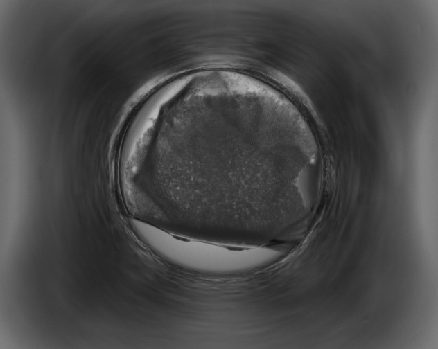 X0000084561419200703231749