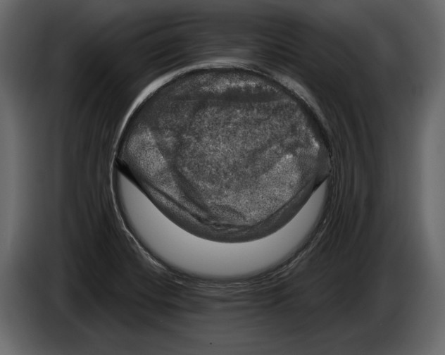 X0000084561420200703231749