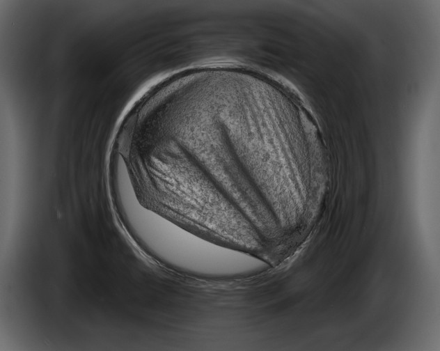 X0000084561422200703231749