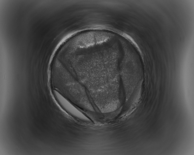 X0000084561424200703231749