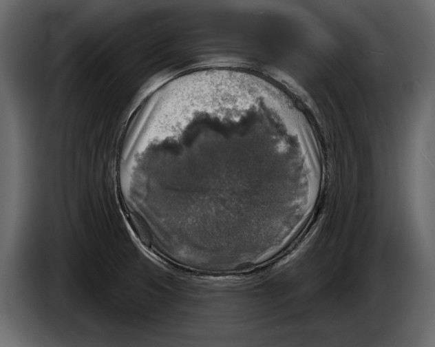 X0000084561425200703231749