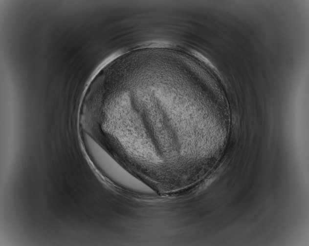 X0000084561426200703231749