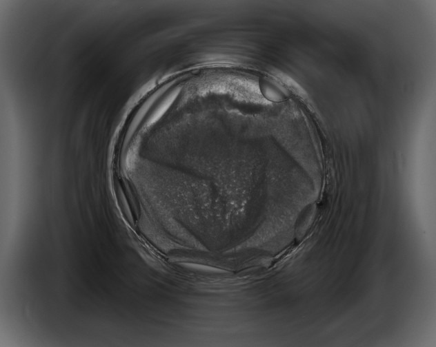 X0000084561427200703231749