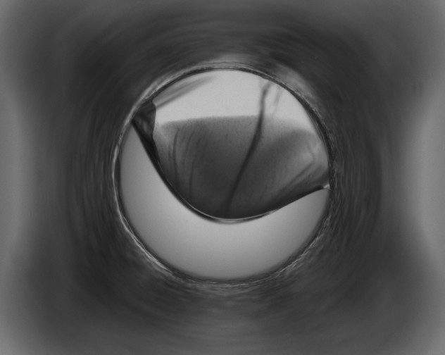 X0000084561428200703231749