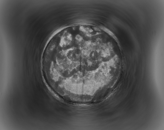 X0000084561431200703231749