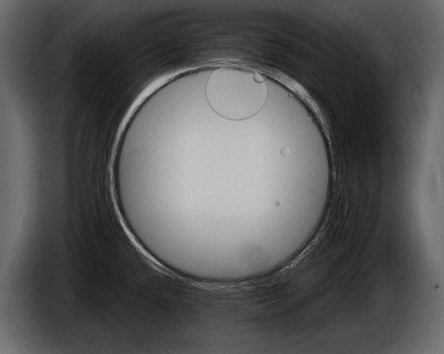 X0000084561432200703231749