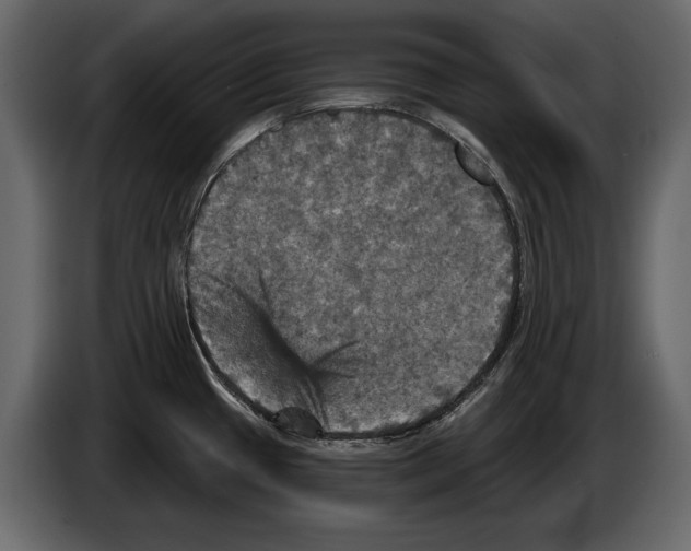 X0000084561433200703231749