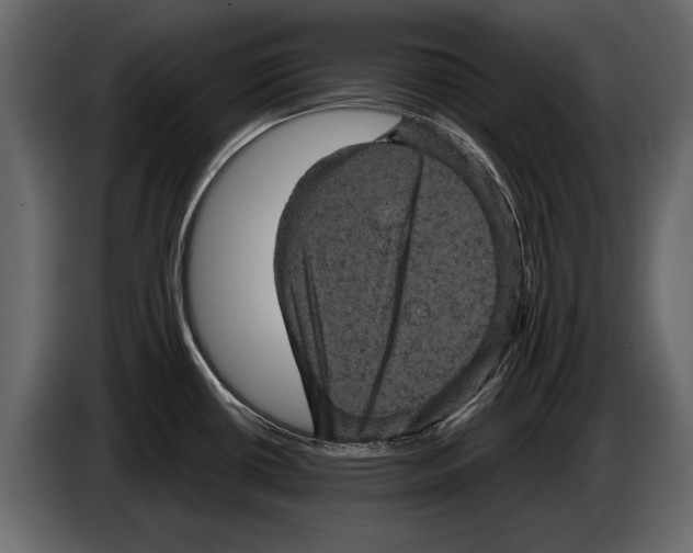 X0000084561434200703231749