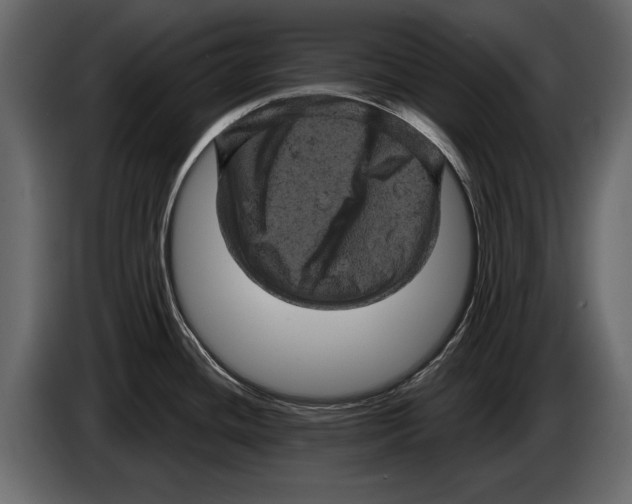 X0000084561436200703231749