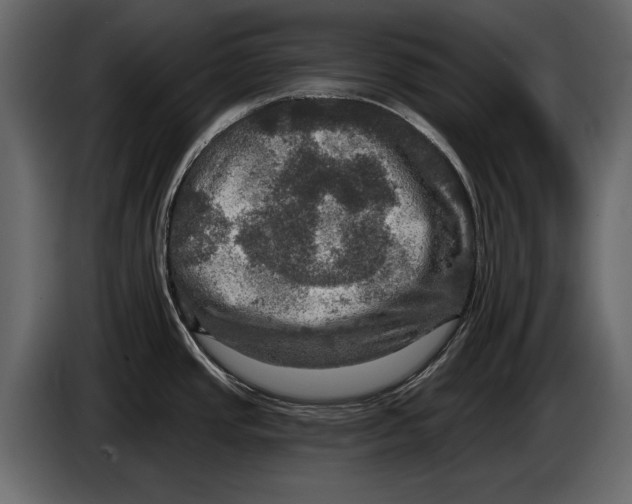 X0000084561437200703231749